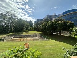 Tivoli Gardens (D19), Terrace #466422021